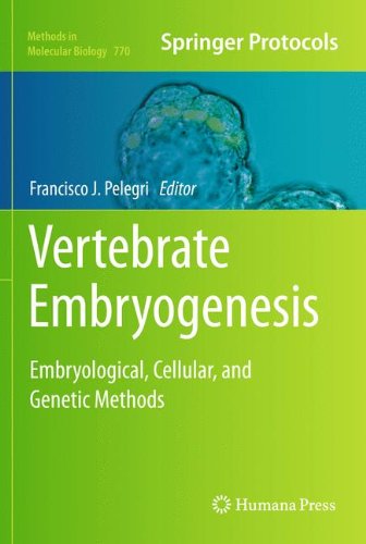 Vertebrate Embryogenesis: Embryological, Cellular, and Genetic Methods (Methods in Molecular Biology)