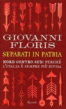 Separati in patria. Nord contro Sud: perché l'Italia è sempre più divisa