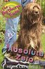 Absolute Zero (The Bagthorpe Saga, Band 9)