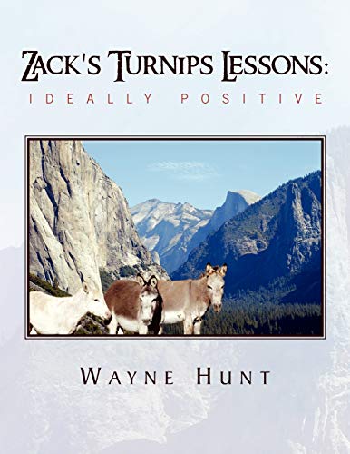 Zack's Turnips Lessons:Ideally Positive