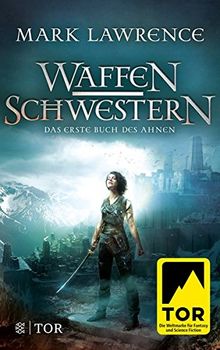 Waffenschwestern: Roman