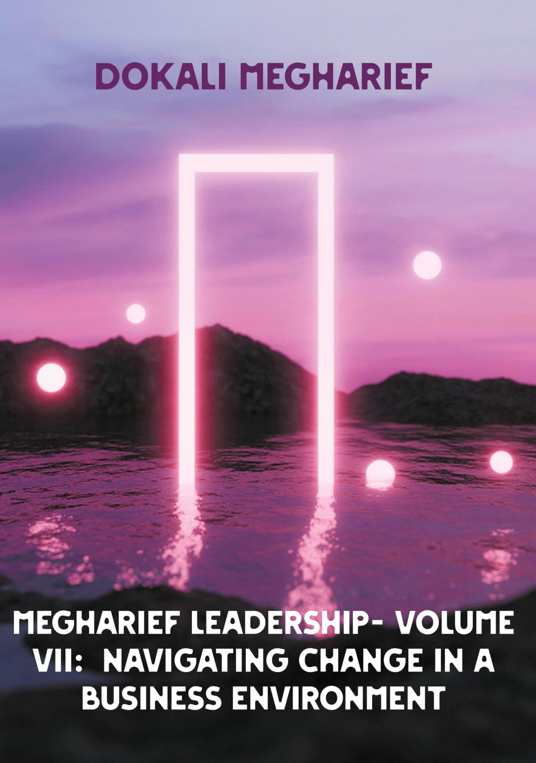 MEGHARIEF LEADERSHIP- VOLUME VII: Navigating Change in a Business Environment: Modern Leadership