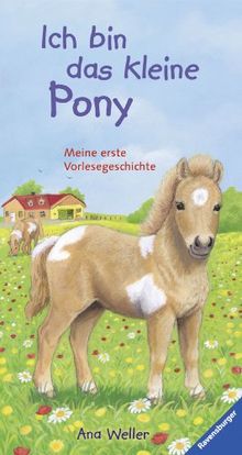 Ich bin das kleine Pony: Meine erste Vorlesegeschichte