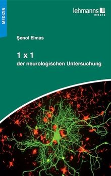 1x1 der neurologischen Untersuchung