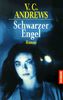 Schwarzer Engel. Die Casteel-Saga Band 2.: BD 2