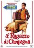 Dvd - Ragazzo Di Campagna (Il) (1 DVD)