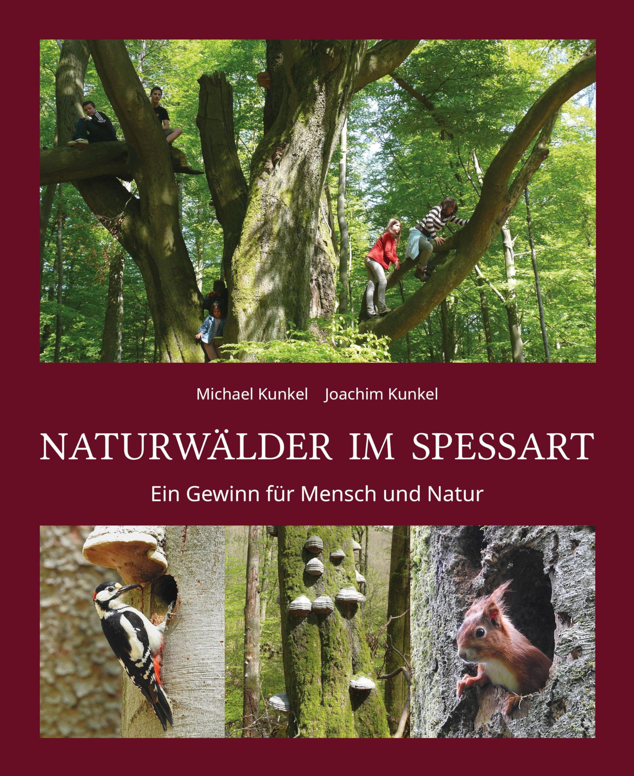 Kunkel, Joachim: Faszination Naturwälder im Spessart