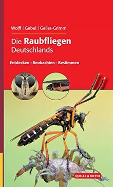 Die Raubfliegen Deutschlands: Entdecken – Beobachten – Bestimmen (Quelle & Meyer Bestimmungsbücher)