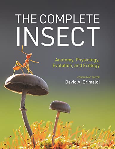 Grimaldi, David A. The Complete Insect, Anatomy, Physiology, Evolution, And Ecology