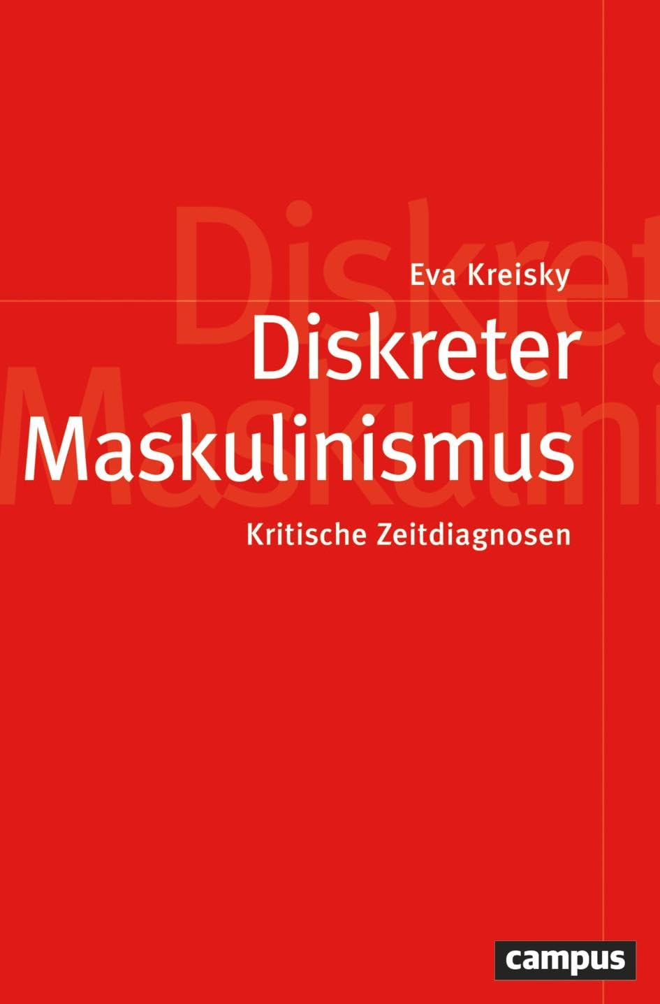 Diskreter Maskulinismus: Kritische Zeitdiagnosen (Politik der Geschlechterverhältnisse, 66)