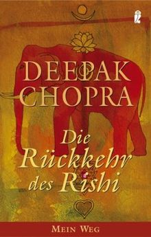 Die Rückkehr des Rishi: Mein Weg