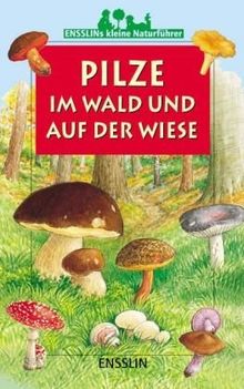 Pilze im Wald und auf der Wiese