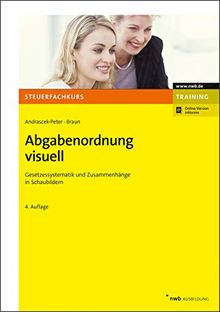 Abgabenordnung visuell: Gesetzessystematik und Zusammenhänge in Schaubildern (Steuerfachkurs)