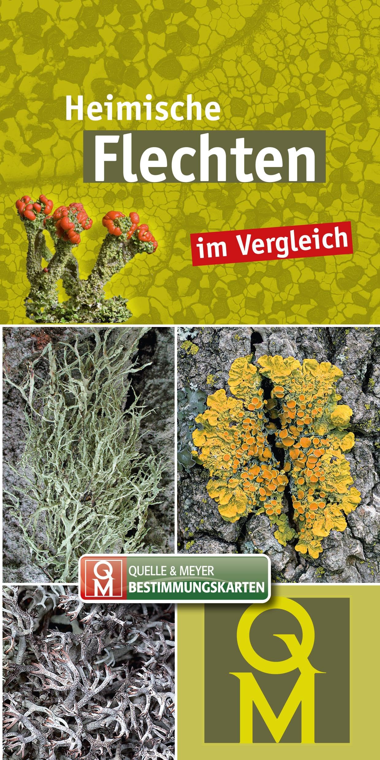 Heimische Flechten im Vergleich: 10er-Set (Quelle & Meyer Bestimmungskarten)
