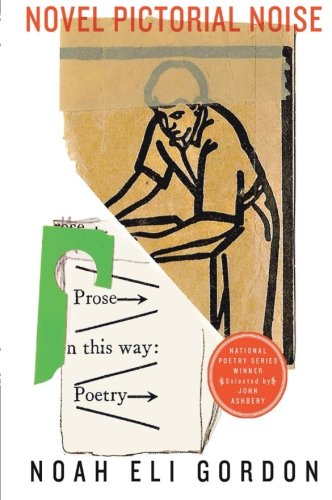 Novel Pictorial Noise (National Poetry Series)