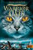 Warrior Cats - Das gebrochene Gesetz - Verlorene Sterne: Staffel VII, Band 1