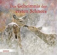 Das Geheimnis des ersten Schnees