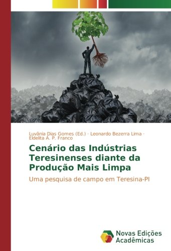 Cenário das Indústrias Teresinenses diante da Produção Mais Limpa: Uma pesquisa de campo em Teresina-PI