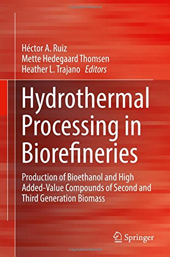 Hydrothermal Processing in Biorefineries: Production of Bioethanol and High Added-Value Compounds of Second and Third Generation Biomass