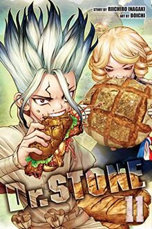 Dr. Stone, Vol. 11: Volume 11