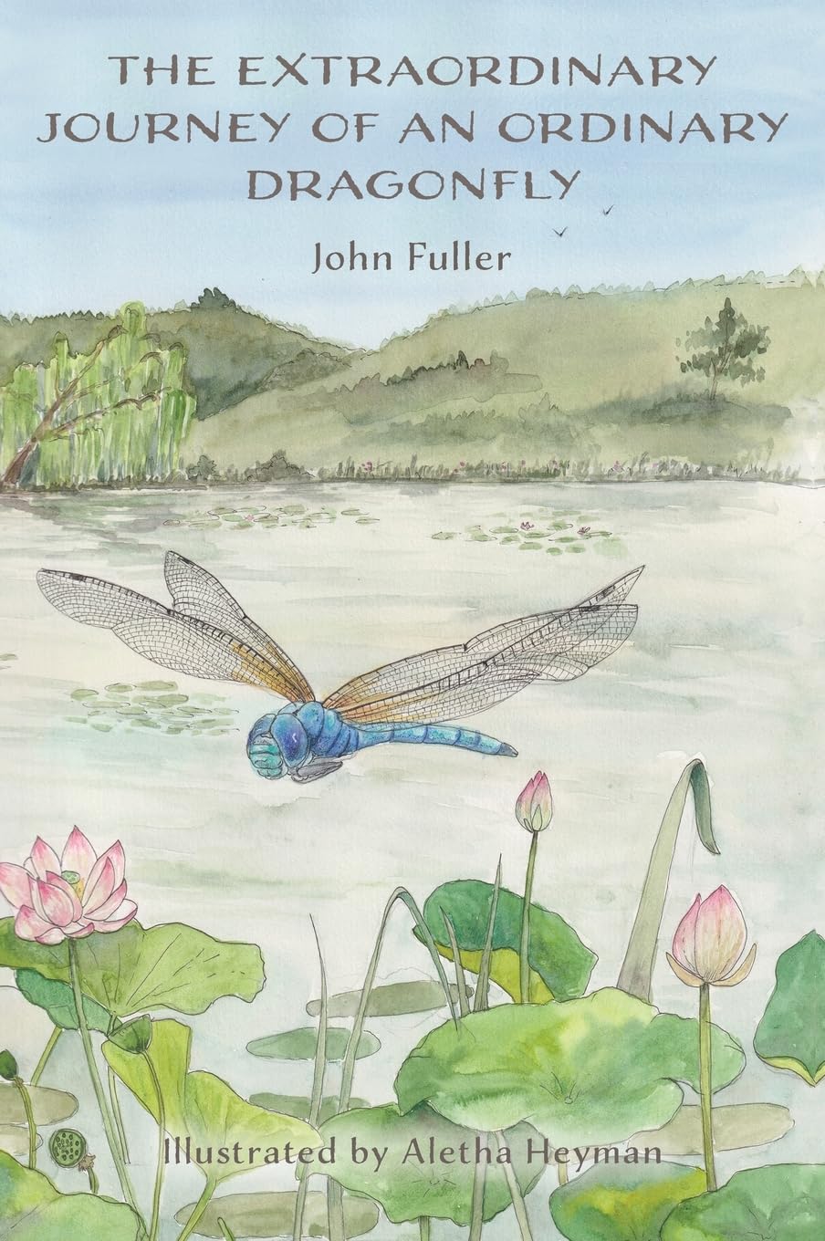 The Extraordinary Journey of an Ordinary Dragonfly