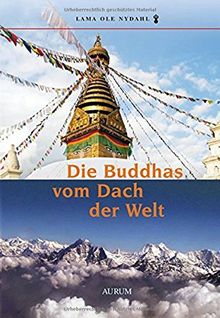 Die Buddhas vom Dach der Welt