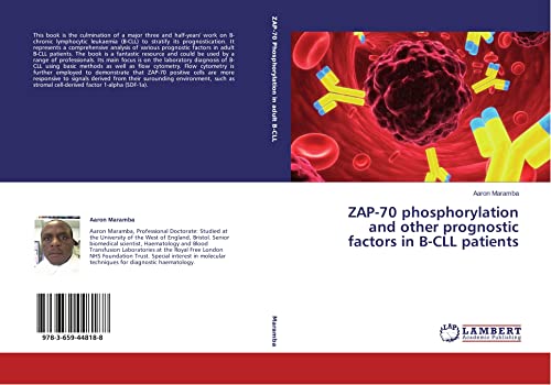 ZAP-70 phosphorylation and other prognostic factors in B-CLL patients