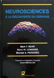 Neurosciences : à la découverte du cerveau