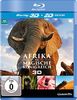 Afrika - Das magische Königreich (2D+3D) (Blu-ray 3D)