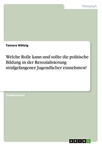 Welche Rolle kann und sollte die politische Bildung in der Resozialisierung strafgefangener Jugendlicher einnehmen?