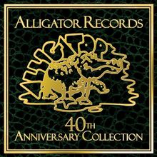 Alligator Records 40th Anniversary von Various | CD | Zustand sehr gut