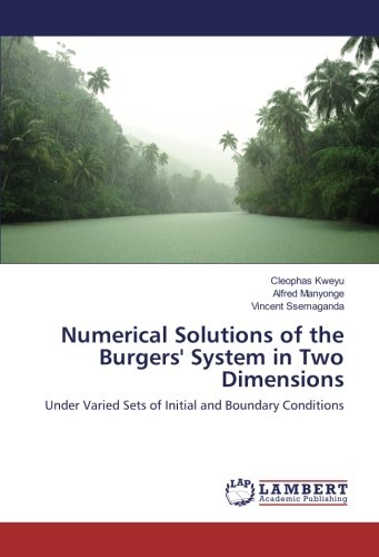 Numerical Solutions of the Burgers' System in Two Dimensions: Under Varied Sets of Initial and Boundary Conditions