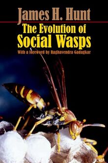 The Evolution Of Social Wasps
