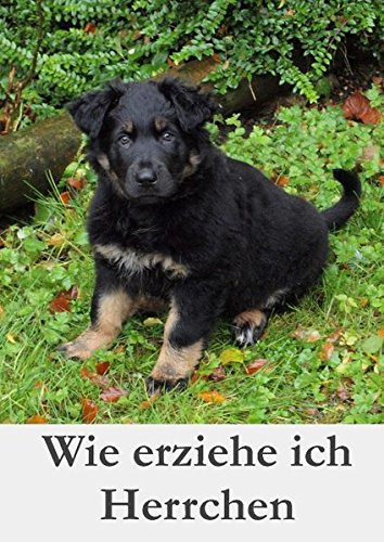 Wie erziehe ich Herrchen
