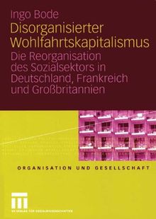 Disorganisierter Wohlfahrtskapitalismus: Die Reorganisation des Sozialsektors in Deutschland, Frankreich und Großbritannien (Organisation und Gesellschaft)