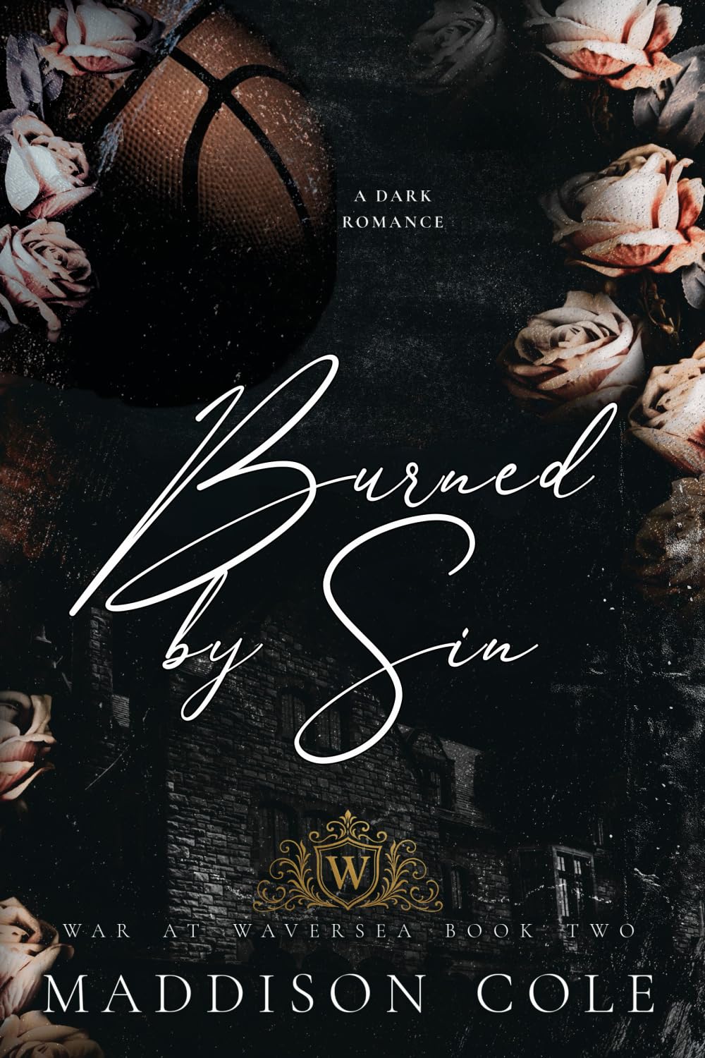 Burned by Sin: Why Choose Academy Sports Romance (War at Waversea, Band 2)