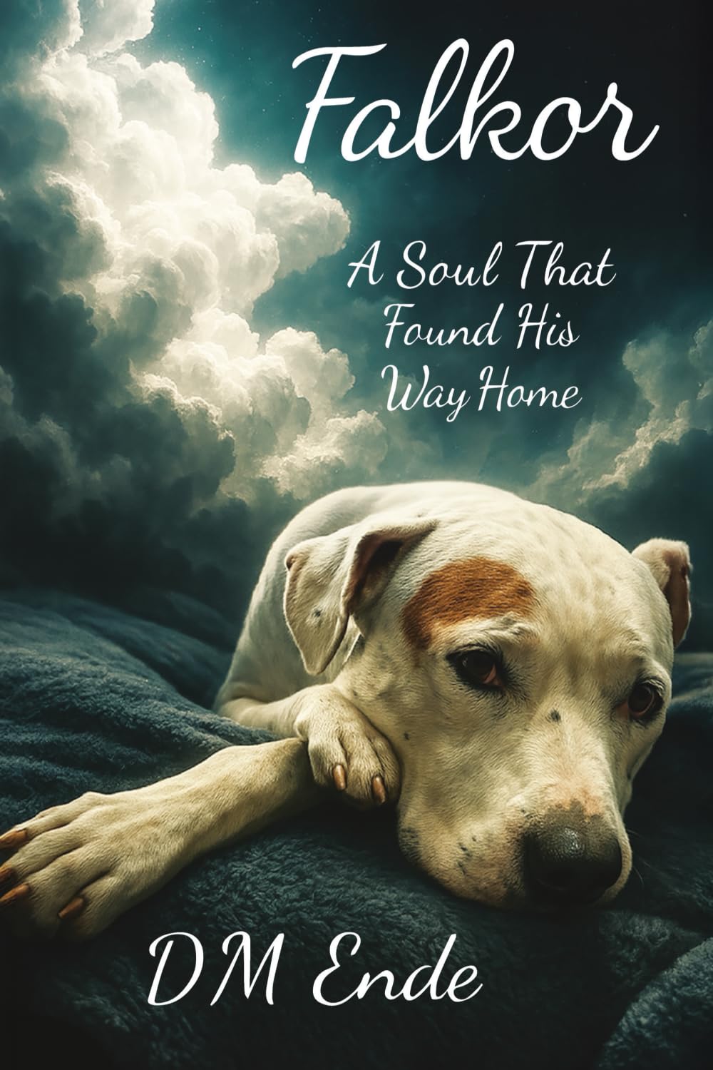Falkor A Soul That Found His Way Home