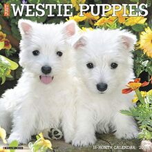 Just Westie Puppies 2020 Wall Calendar (Dog Breed Calendar)