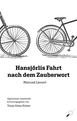 Hansjörlis Fahrt nach dem Zauberwort - Neuware