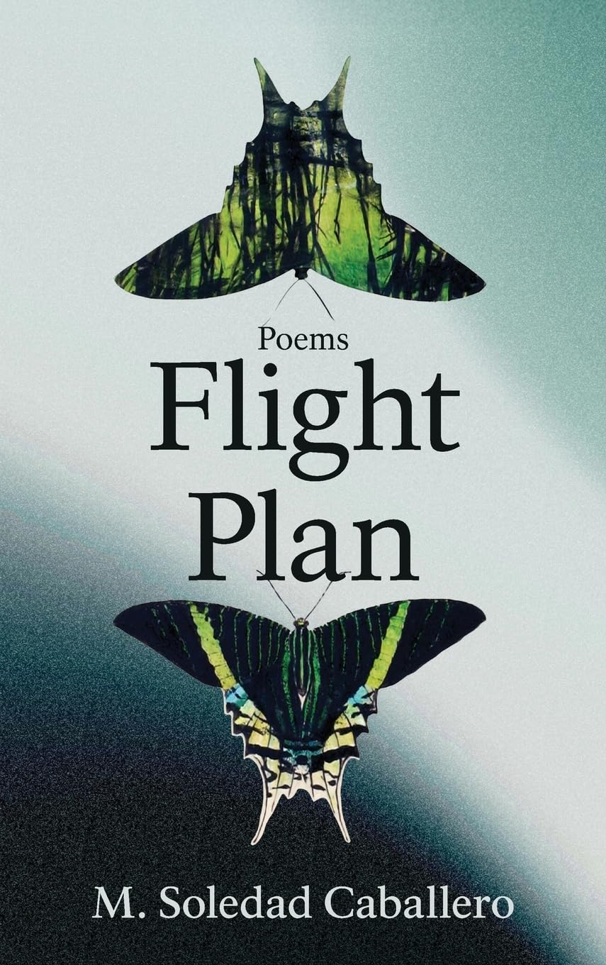 Flight Plan: Poems