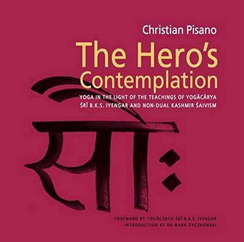 Pisano, C: Hero's Contemplation