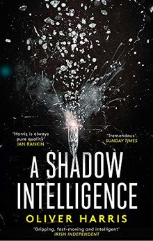 A Shadow Intelligence