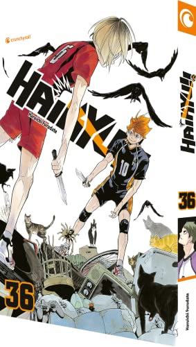 Furudate, Haruichi: Haikyu!! - Band 36