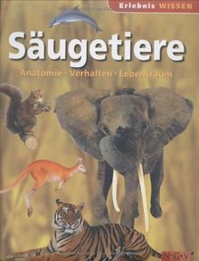 Säugetiere: Anatomie, Verhalten, Lebensraum