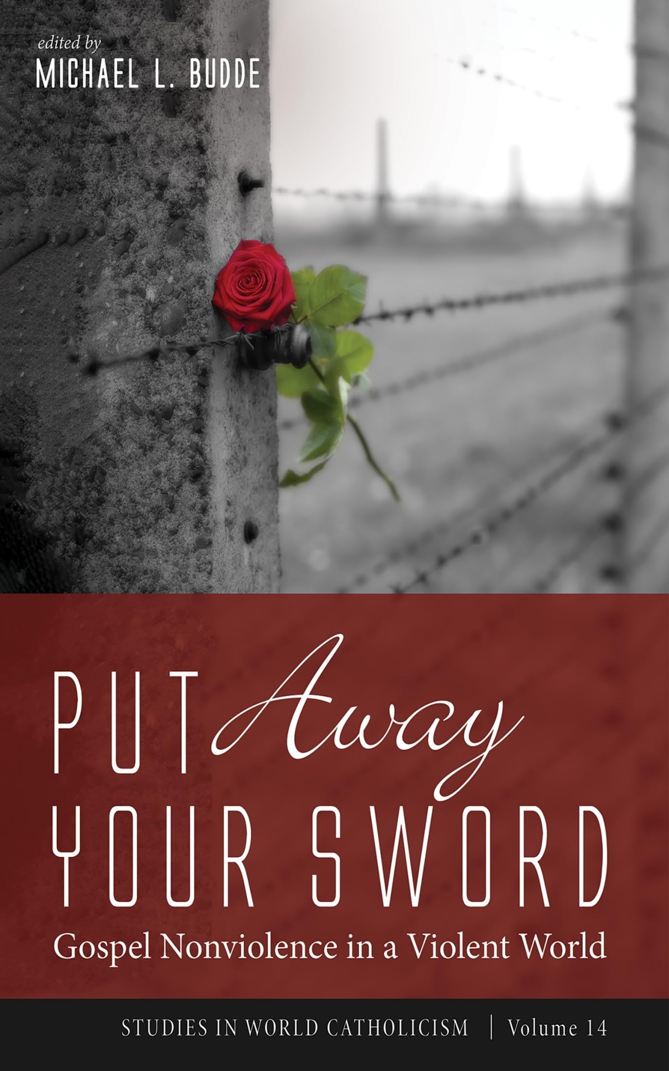 Put Away Your Sword: Gospel Nonviolence in a Violent World (Studies in World Catholicism, Band 14)