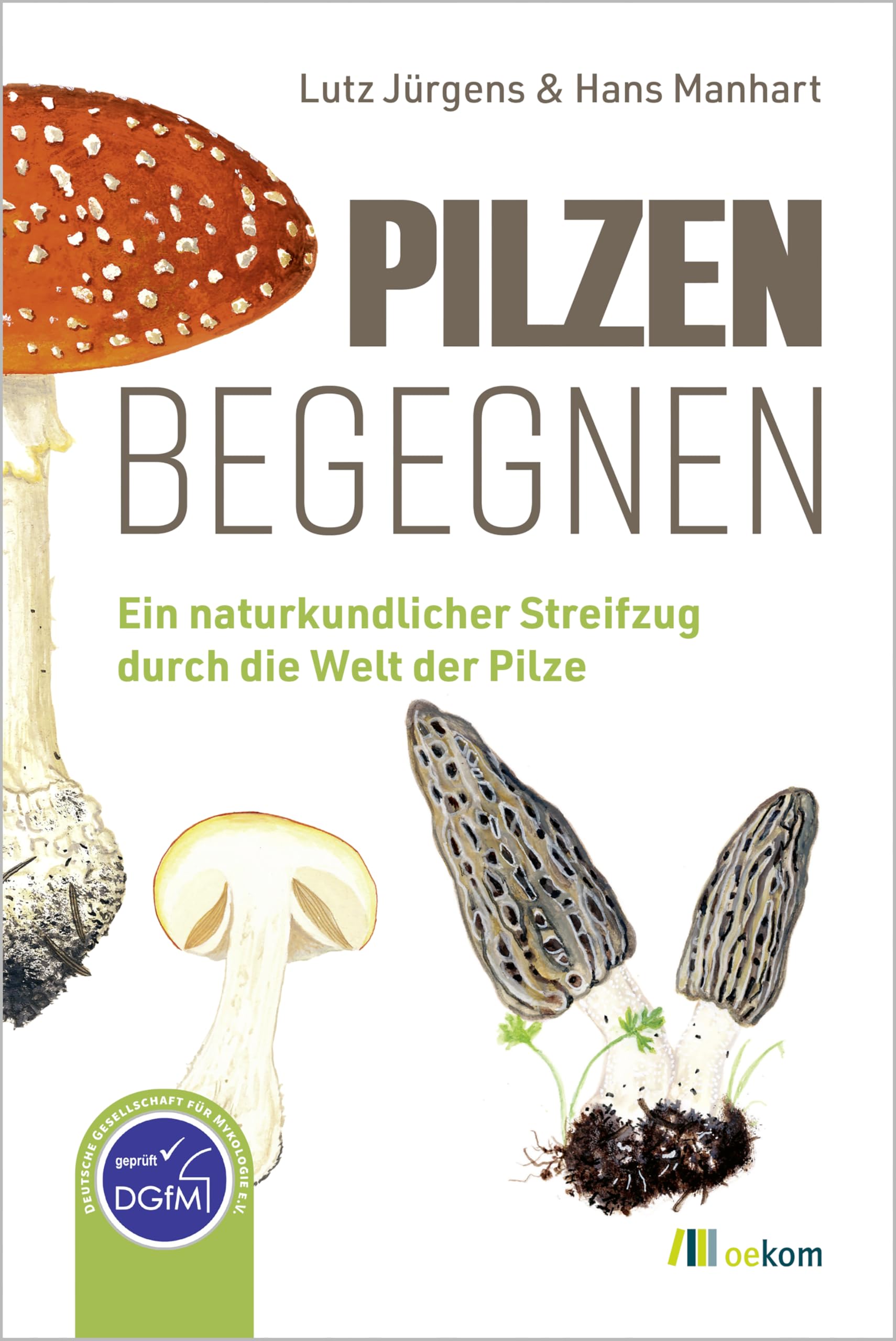 Pilzen begegnen: Ein naturkundlicher Streifzug durch die Welt der Pilze. Der praktische Begleiter durchs Jahr