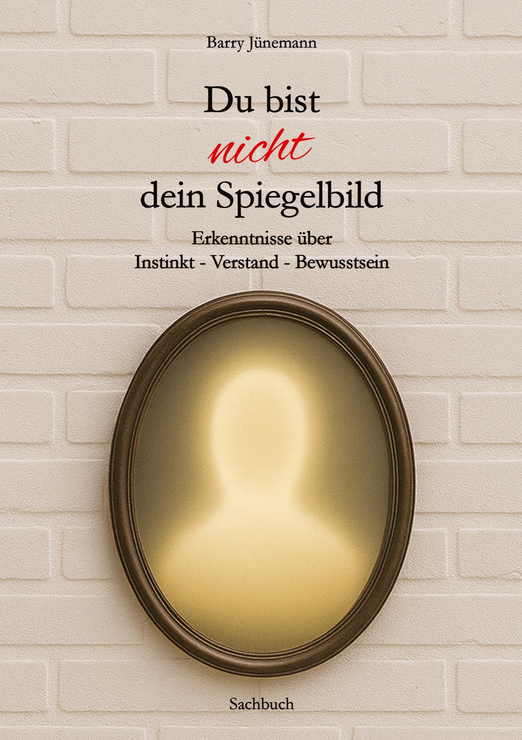 Du bist nicht dein Spiegelbild: Erkenntnisse über Instinkt - Verstand - Bewusstsein