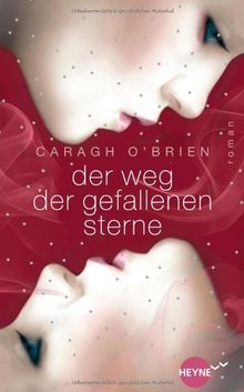 Der Weg der gefallenen Sterne: Roman (Heyne fliegt)