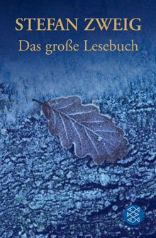 Das große Lesebuch. Sonderausgabe