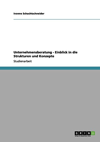 Unternehmensberatung - Einblick in die Strukturen und Konzepte
